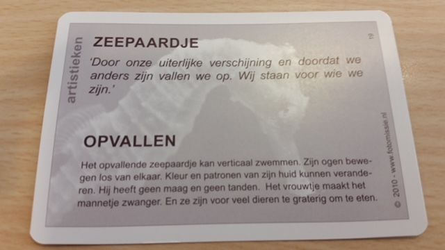 Seepaerd achter